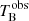$ T_{\mathrm{B}}^{\mathrm{obs}} $