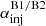 $ \alpha_{\mathrm{inj}}^{\mathrm{B1/B2}} $