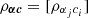 $ {\rho }_{{\boldsymbol {\alpha }}{\boldsymbol {c}}} = [{\rho _{\alpha _{j}c_{i}}}] $
