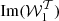 $ {\mathrm {Im}}({\cal {{W}}}_1^{\cal {{T}}}) $
