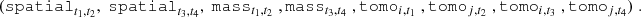 $$ ({{\tt{spatial}}}_{t_1,t_2},\;{{\tt{spatial}}}_{t_3,t_4}, \;{{\tt{mass}}}_{t_1,t_2}\;, {{\tt{mass}}}_{t_3,t_4}\;, {{\tt{tomo}}}_{i,t_1}\;, {{\tt{tomo}}}_{j,t_2}\;, {{\tt{tomo}}}_{i,t_3}\;, {{\tt{tomo}}}_{j,t_4})\;. $$