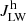 $ J^{\mathrm{h}}_{\mathrm{LW}} $