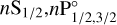 $\[n \mathrm{S}_{1 / 2}, n \mathrm{P}_{1 / 2,3 / 2}^{\circ}\]$