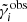 $ \tilde{\gamma}_{i}^{\mathrm{obs}} $