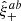 $ \hat \xi_+^{ab} $