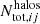 $ N_{\mathrm{tot}, ij}^{\mathrm{halos}} $