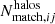 $ N_{\mathrm{match}, ij}^{\mathrm{halos}} $