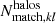 $ N_{\mathrm{match}, kl}^{\mathrm{halos}} $
