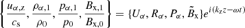 $ \left\{\frac{u_{\mathrm{\alpha,z}}}{c_{\mathrm{s}}}, \frac{\rho_{\alpha,1}}{\rho_{0}}, \frac{p_{\alpha,1}}{p_{0}}, \frac{B_{\mathrm{x,1}}}{B_{\mathrm{x,0}}}\right \} = \{U_\mathrm{{\alpha}}, R_\alpha, P_\alpha, \tilde{B}_{\mathrm{x}}\}e^{i(k_{\mathrm{z}} z - \omega t)} $