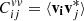 $ C^{vv}_{ij} = \langle \mathbf{v_i} \mathbf{v}^*_j \rangle $