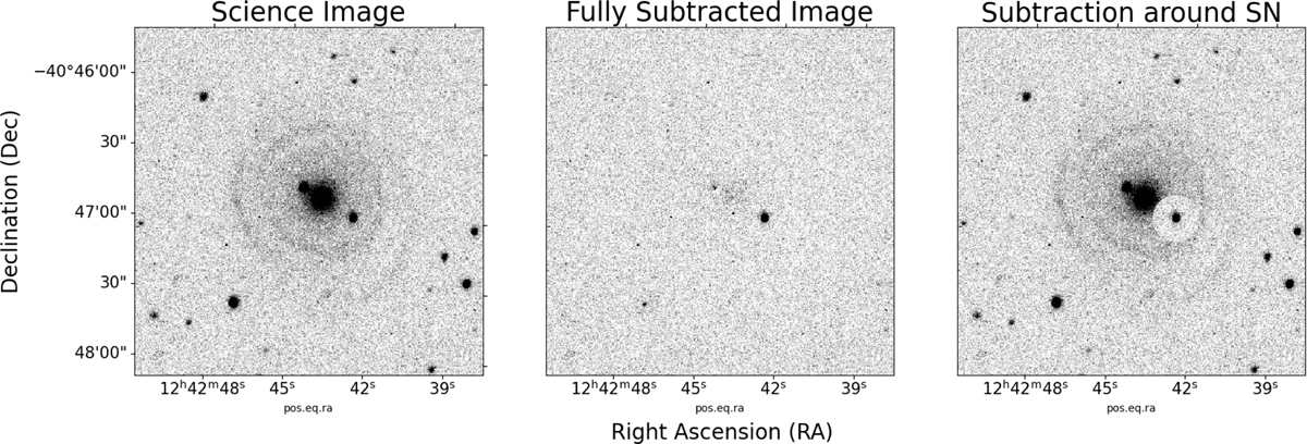Fig. 3 Refer to the following caption and surrounding text.