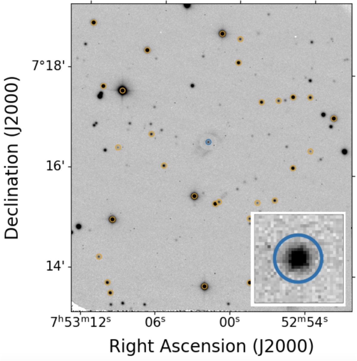 Fig. 6 Refer to the following caption and surrounding text.
