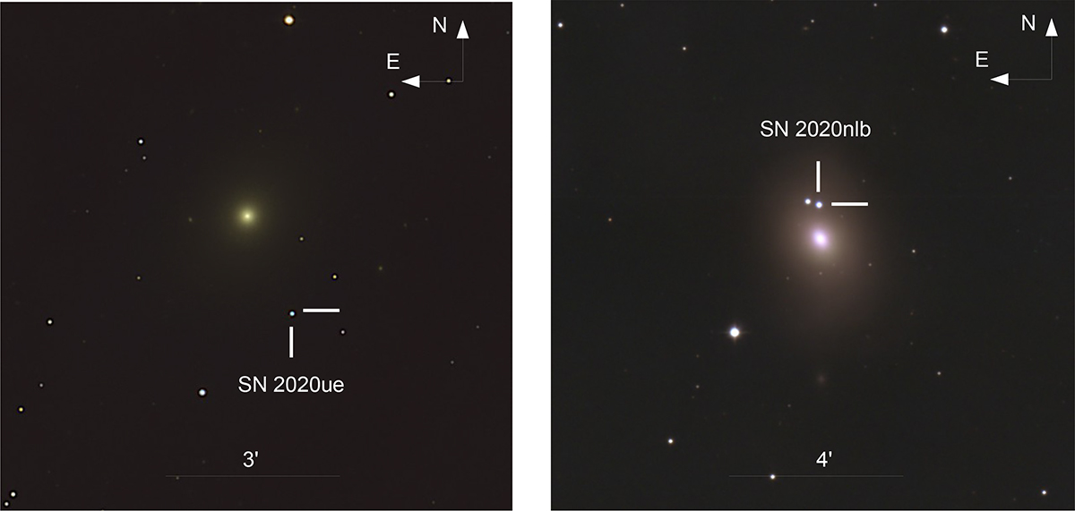 Fig. 1. Refer to the following caption and surrounding text.