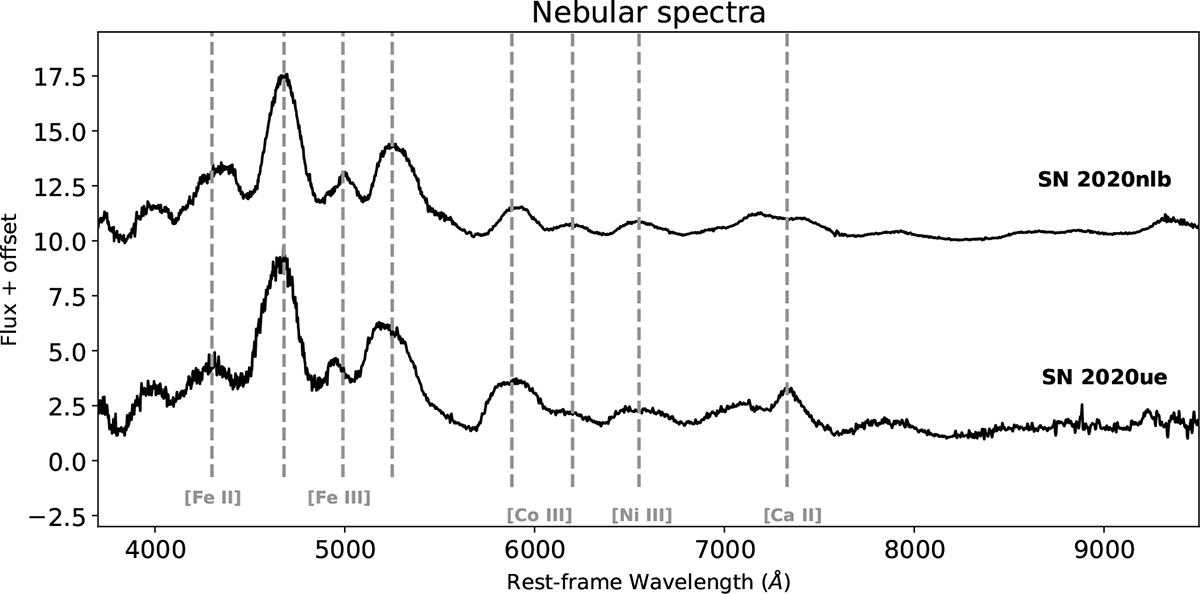 Fig. 13. Refer to the following caption and surrounding text.