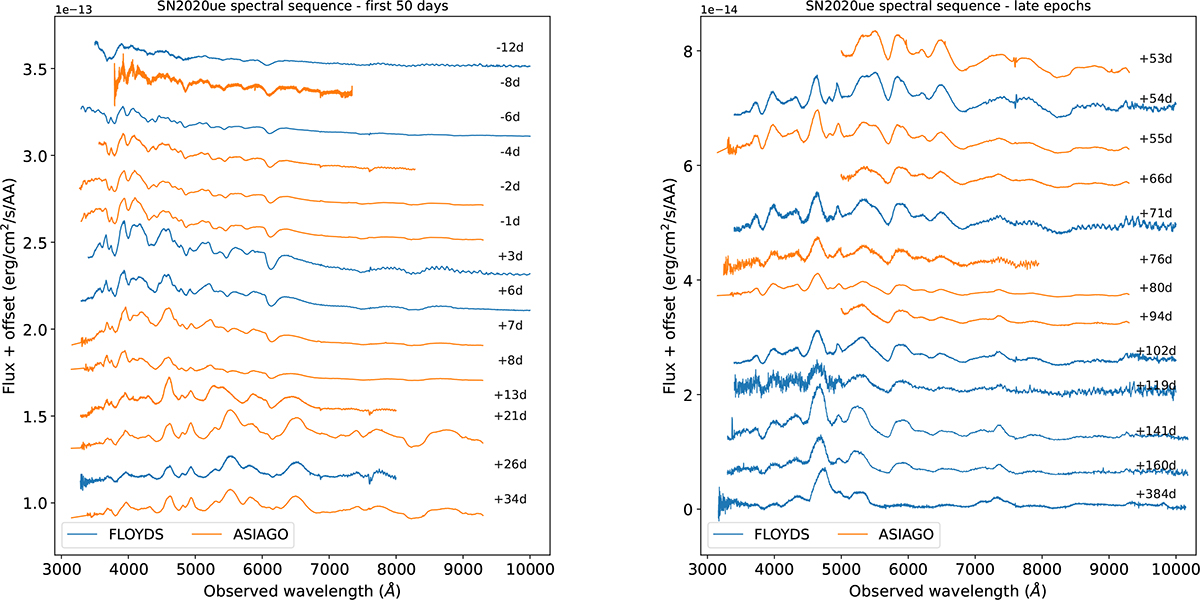 Fig. 3. Refer to the following caption and surrounding text.