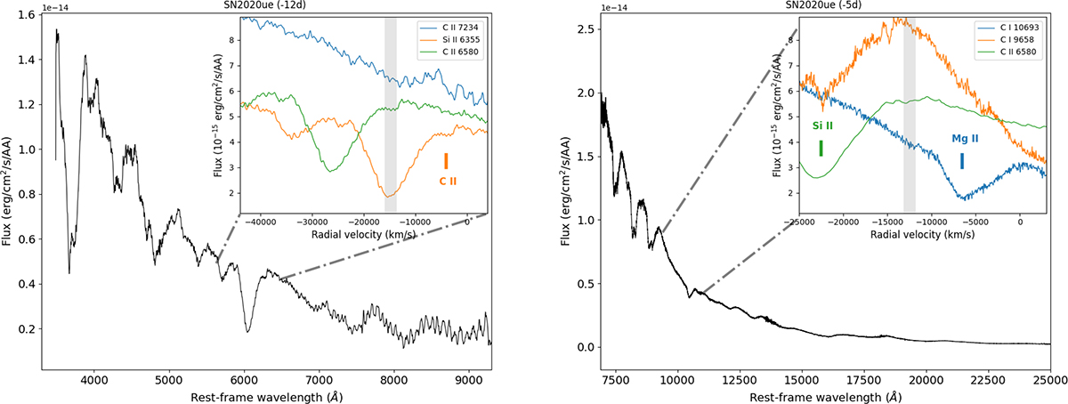 Fig. 9. Refer to the following caption and surrounding text.