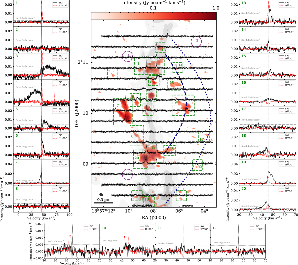 Fig. 2 Refer to the following caption and surrounding text.