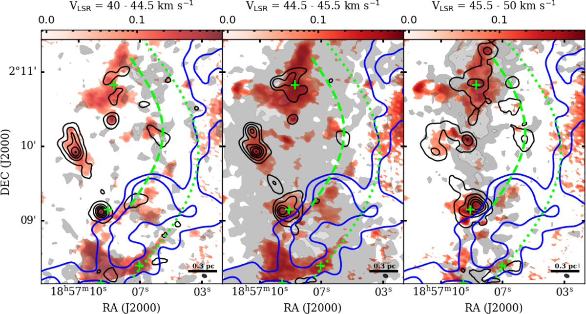 Fig. 4 Refer to the following caption and surrounding text.
