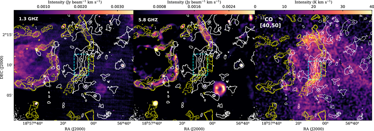 Fig. 6 Refer to the following caption and surrounding text.