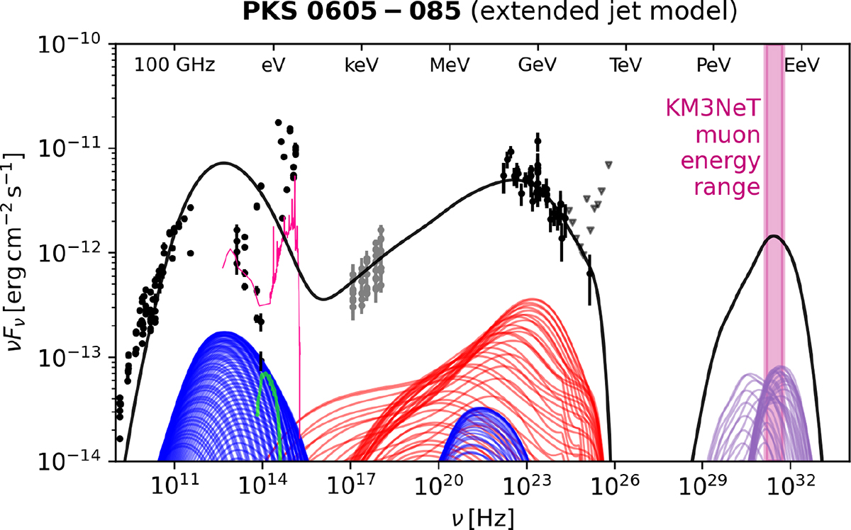 Fig. 3. Refer to the following caption and surrounding text.