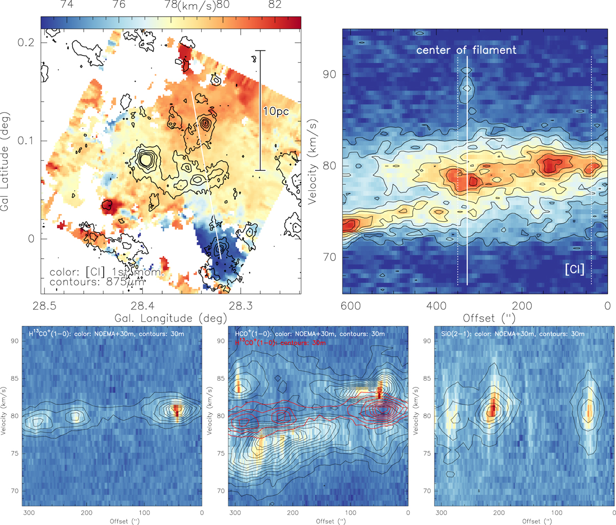 Fig. 7 Refer to the following caption and surrounding text.