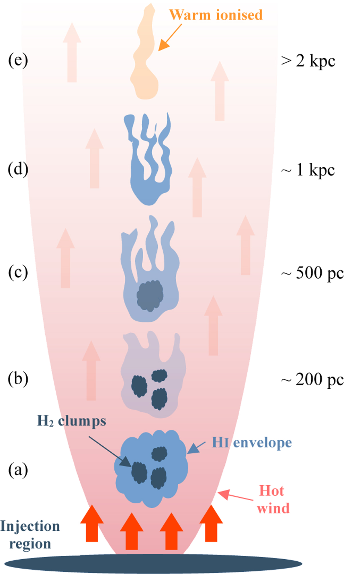 Fig. 8 Refer to the following caption and surrounding text.