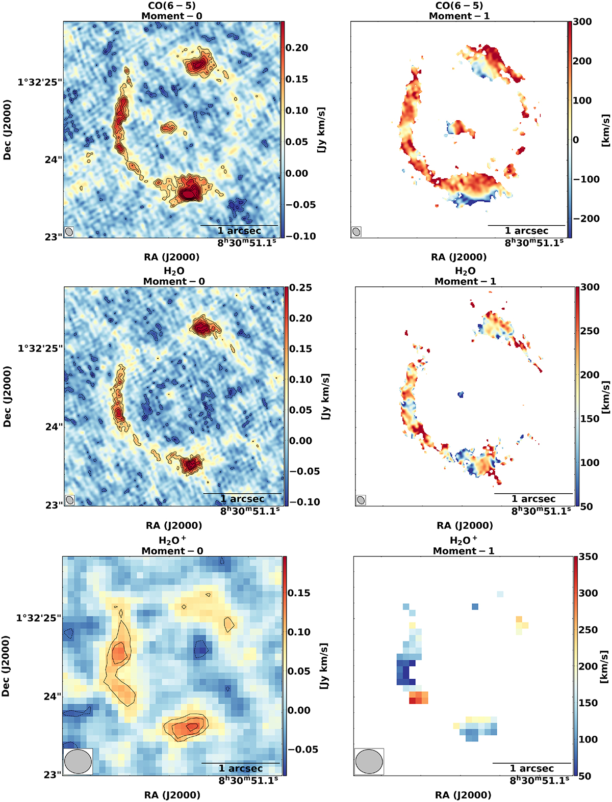 Fig. 3. Refer to the following caption and surrounding text.