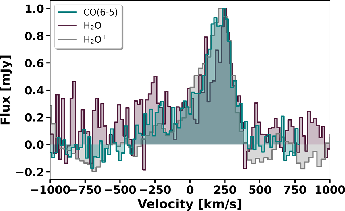Fig. 4. Refer to the following caption and surrounding text.