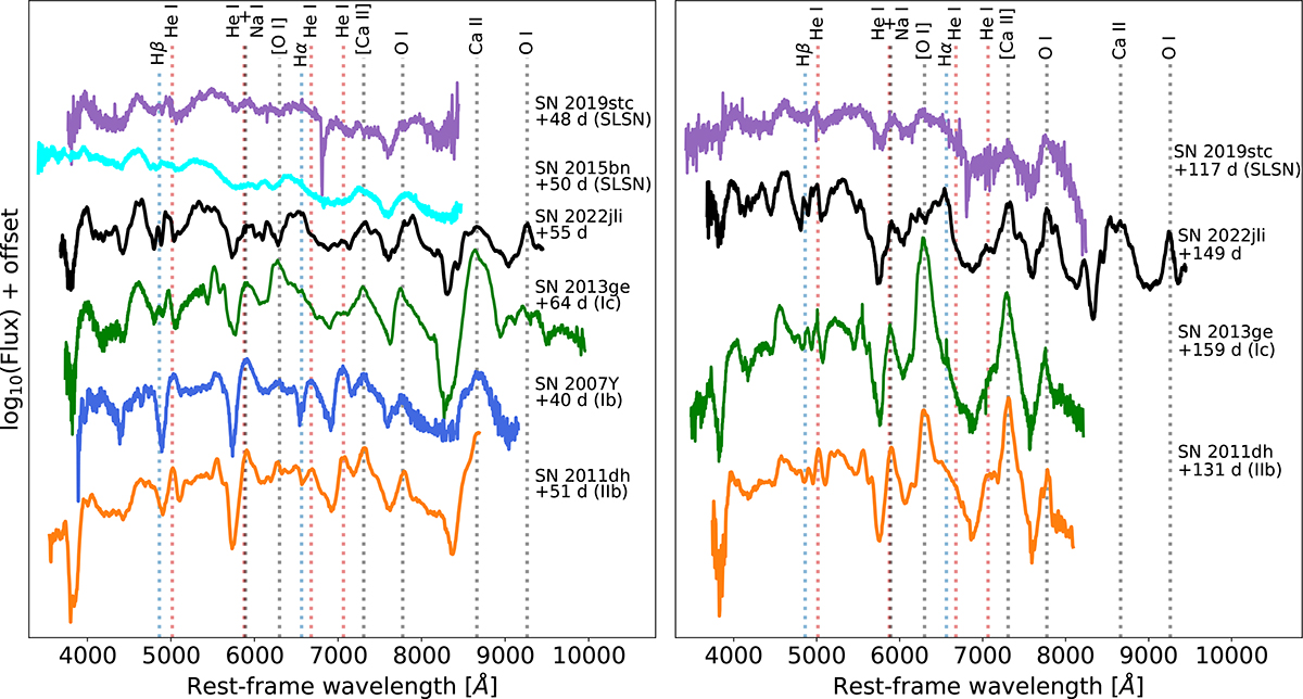 Fig. 15. Refer to the following caption and surrounding text.