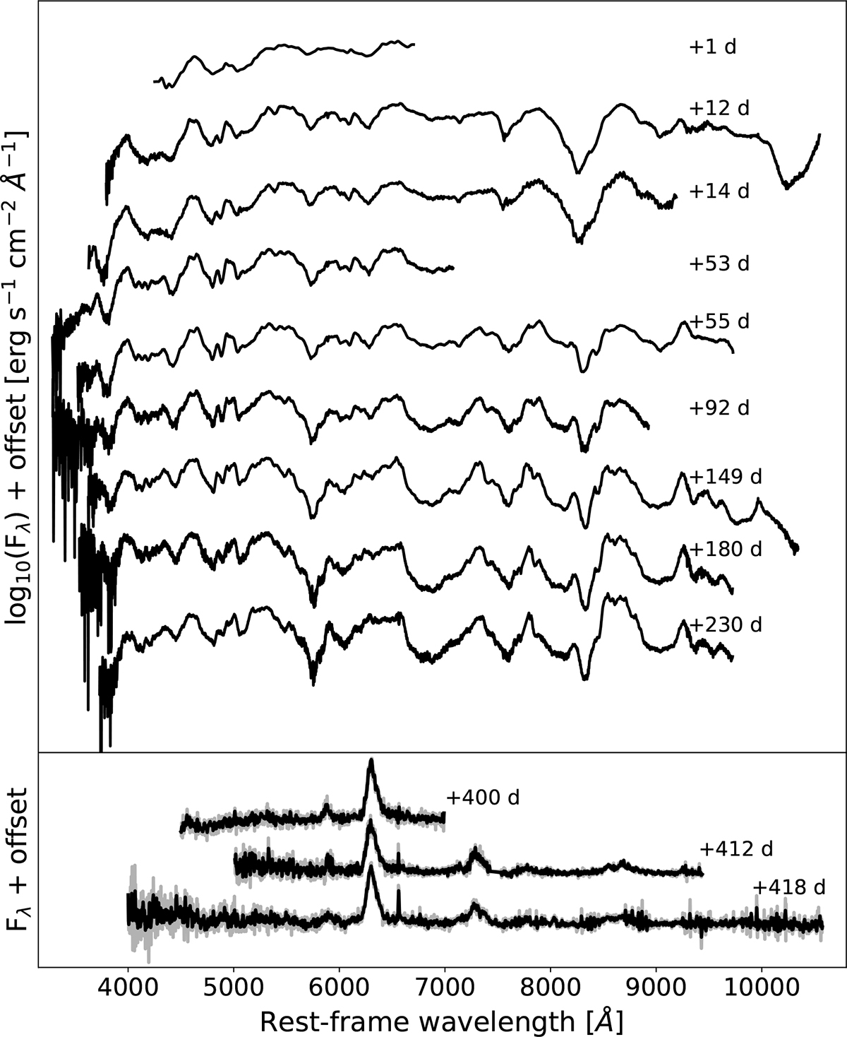 Fig. 3. Refer to the following caption and surrounding text.