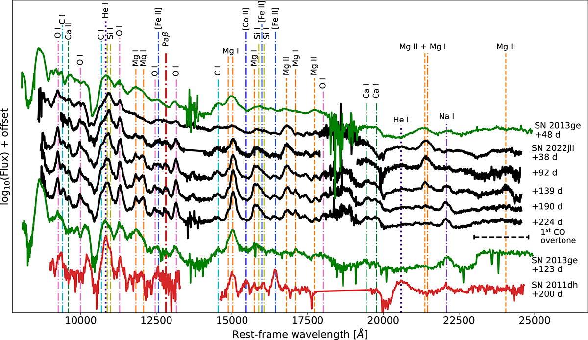 Fig. 4. Refer to the following caption and surrounding text.