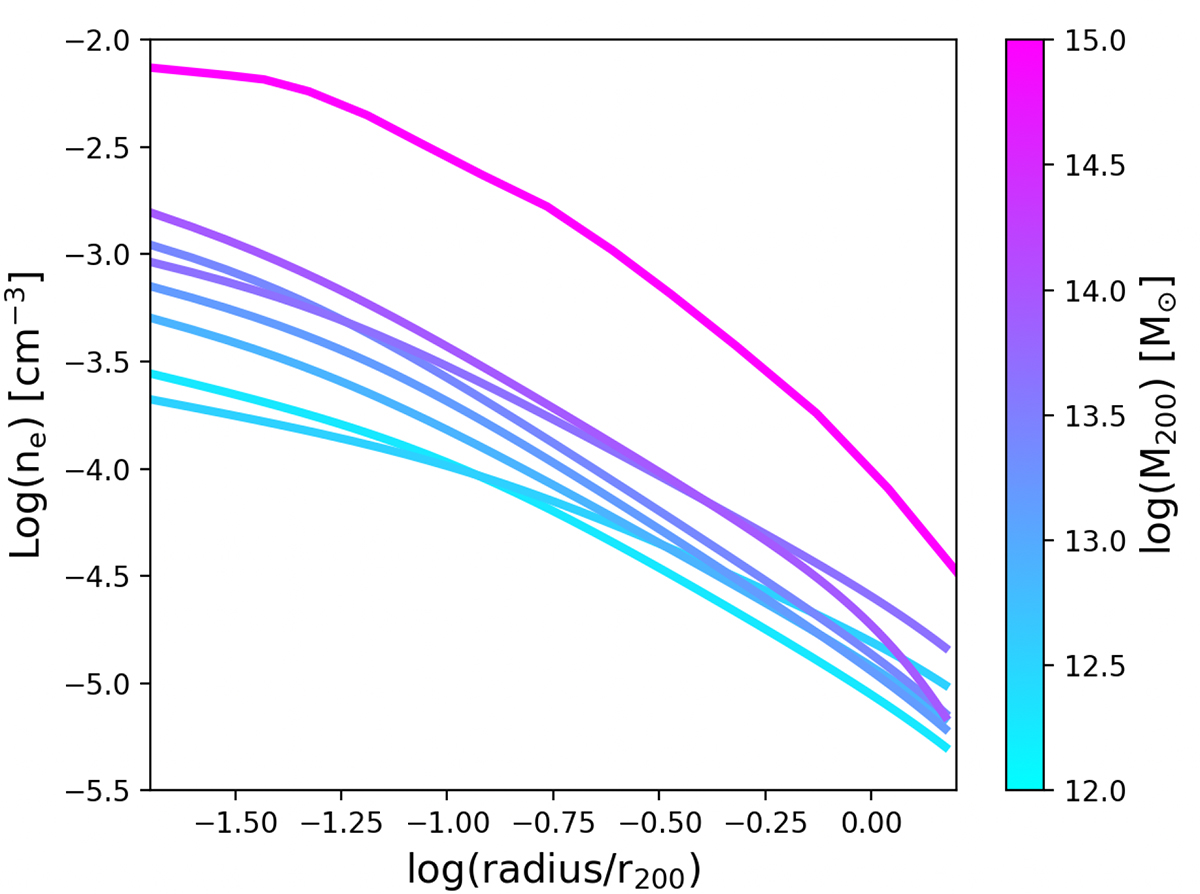 Fig. 2. Refer to the following caption and surrounding text.