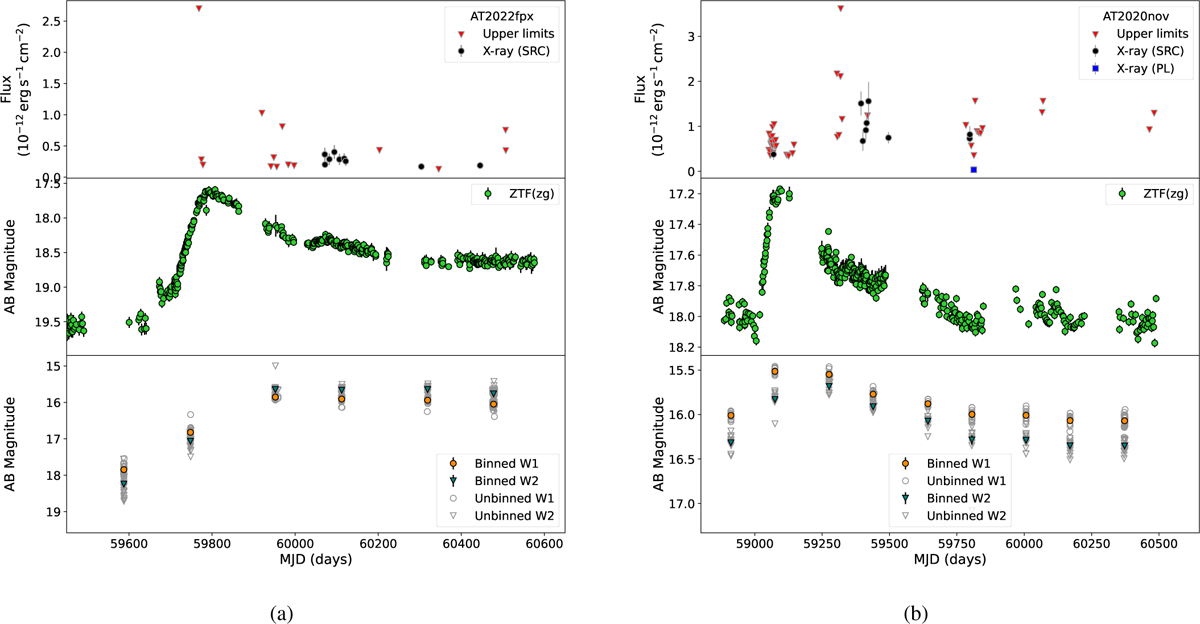Fig. 7 Refer to the following caption and surrounding text.