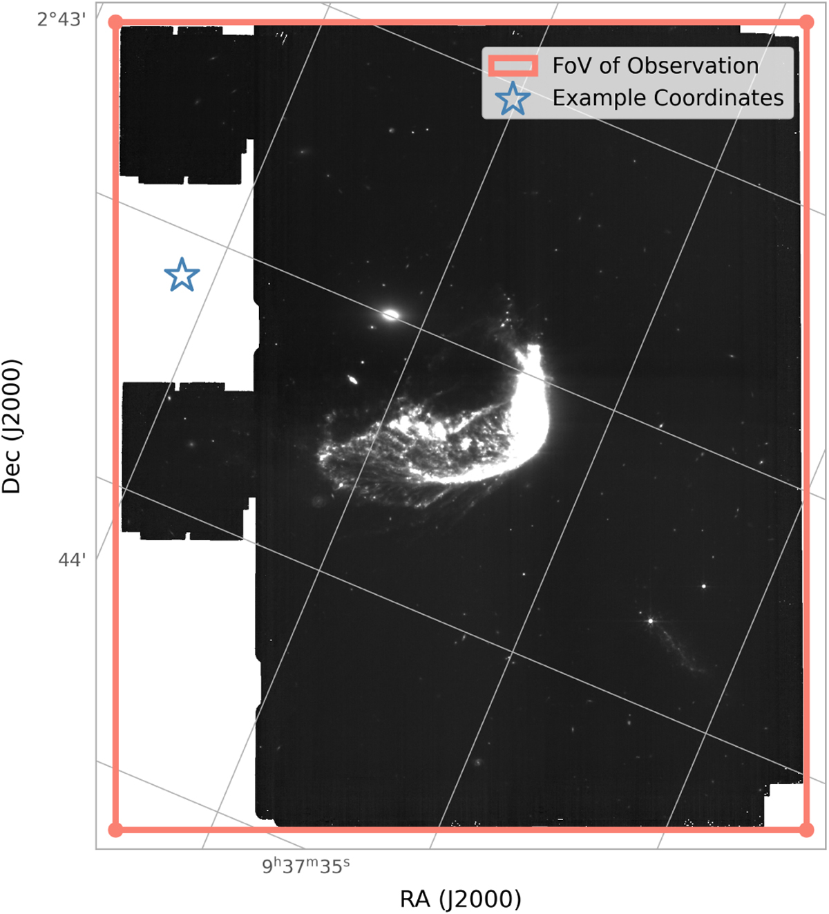 Fig. 4 Refer to the following caption and surrounding text.