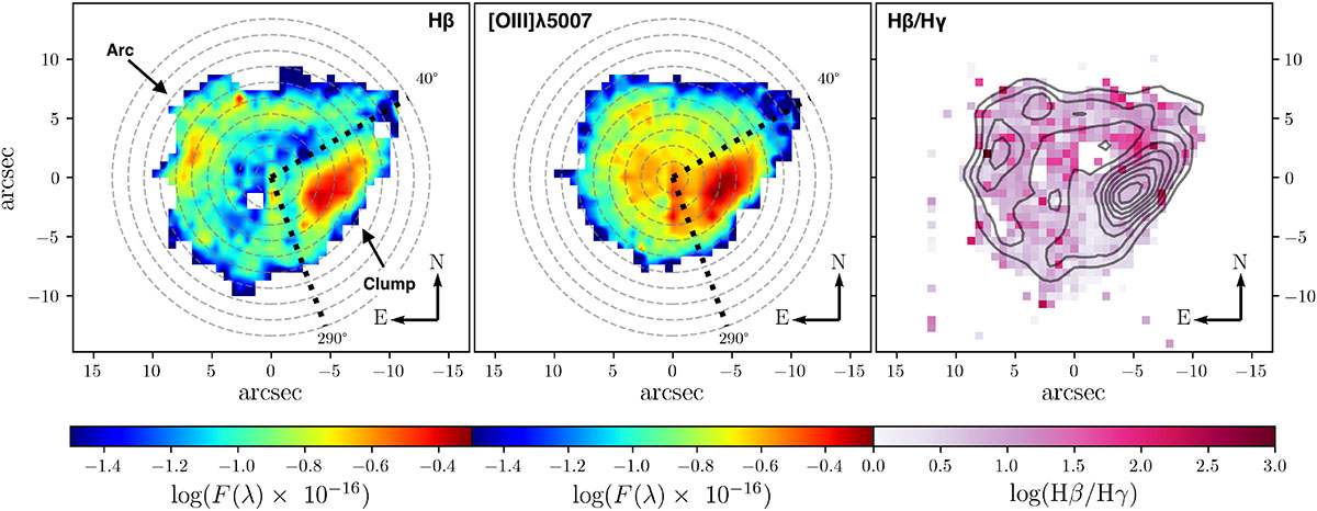Fig. 3. Refer to the following caption and surrounding text.