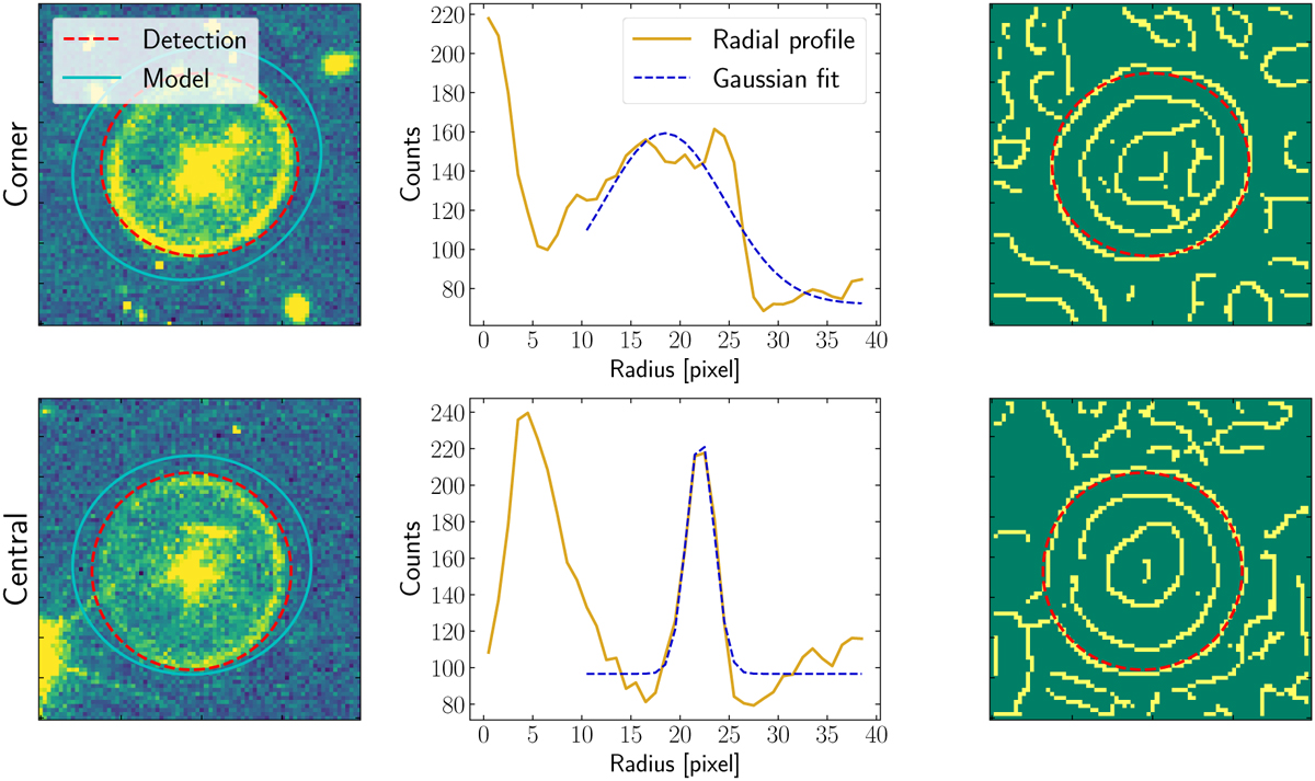 Fig. 3 Refer to the following caption and surrounding text.