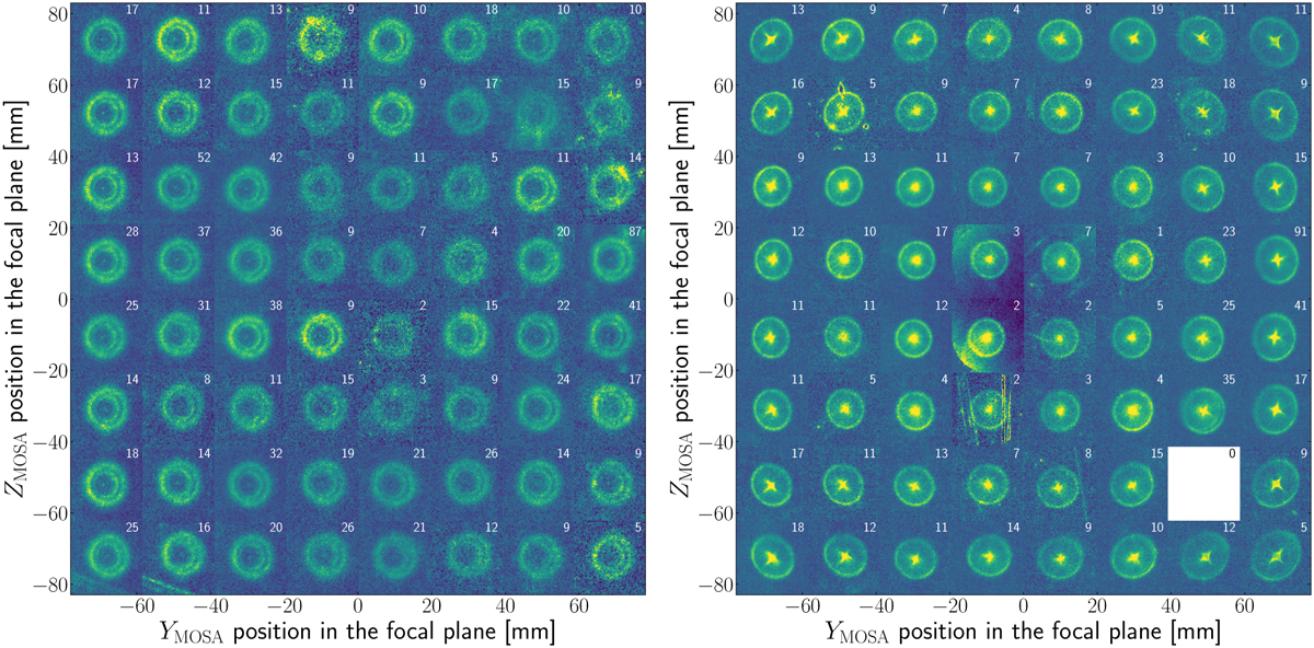 Fig. 4 Refer to the following caption and surrounding text.
