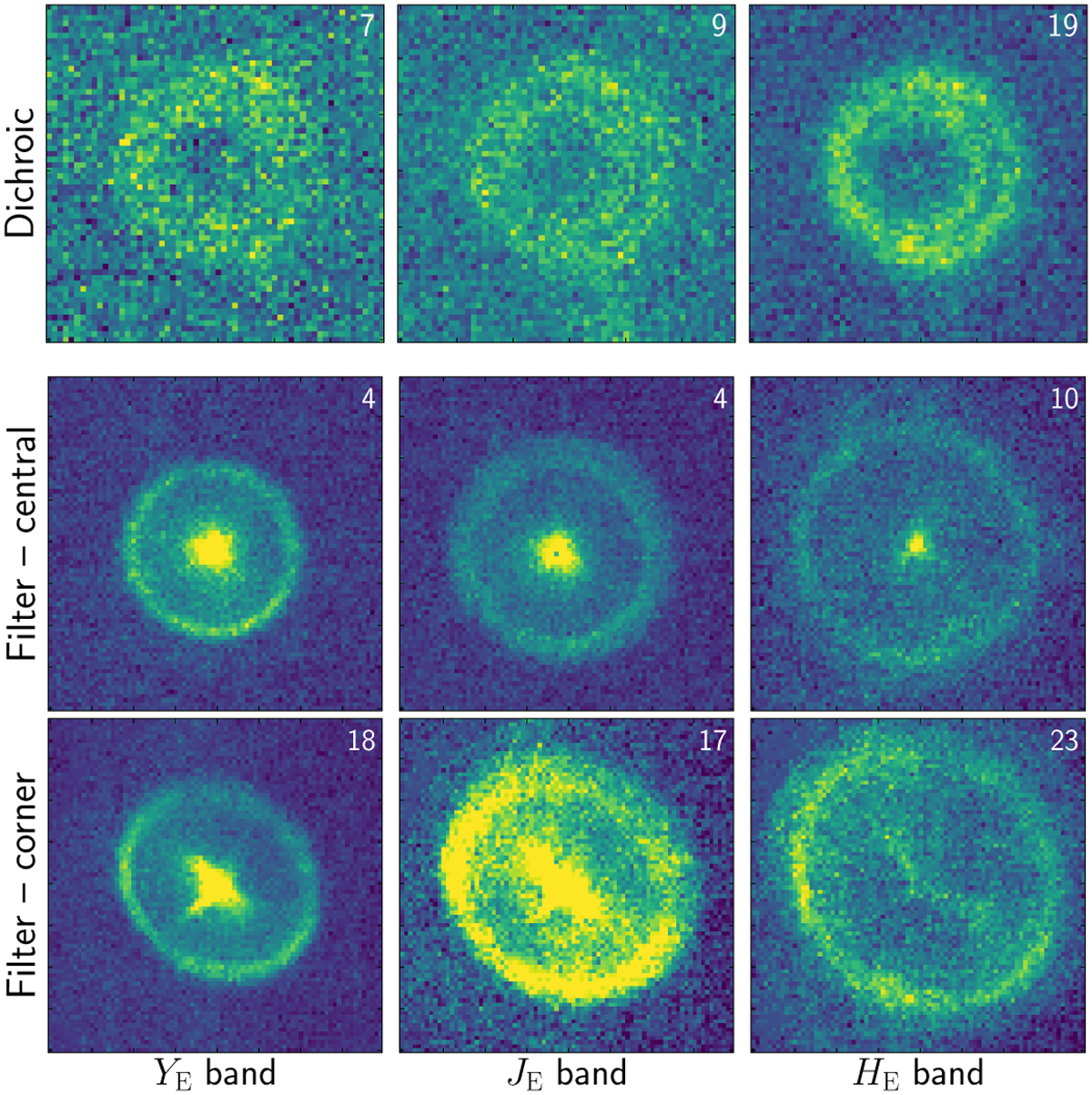 Fig. 7 Refer to the following caption and surrounding text.