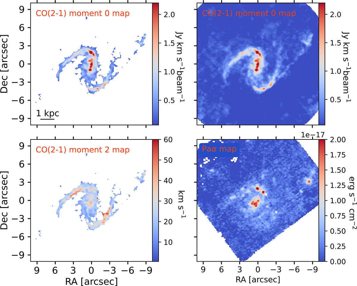 Fig. 2. Refer to the following caption and surrounding text.