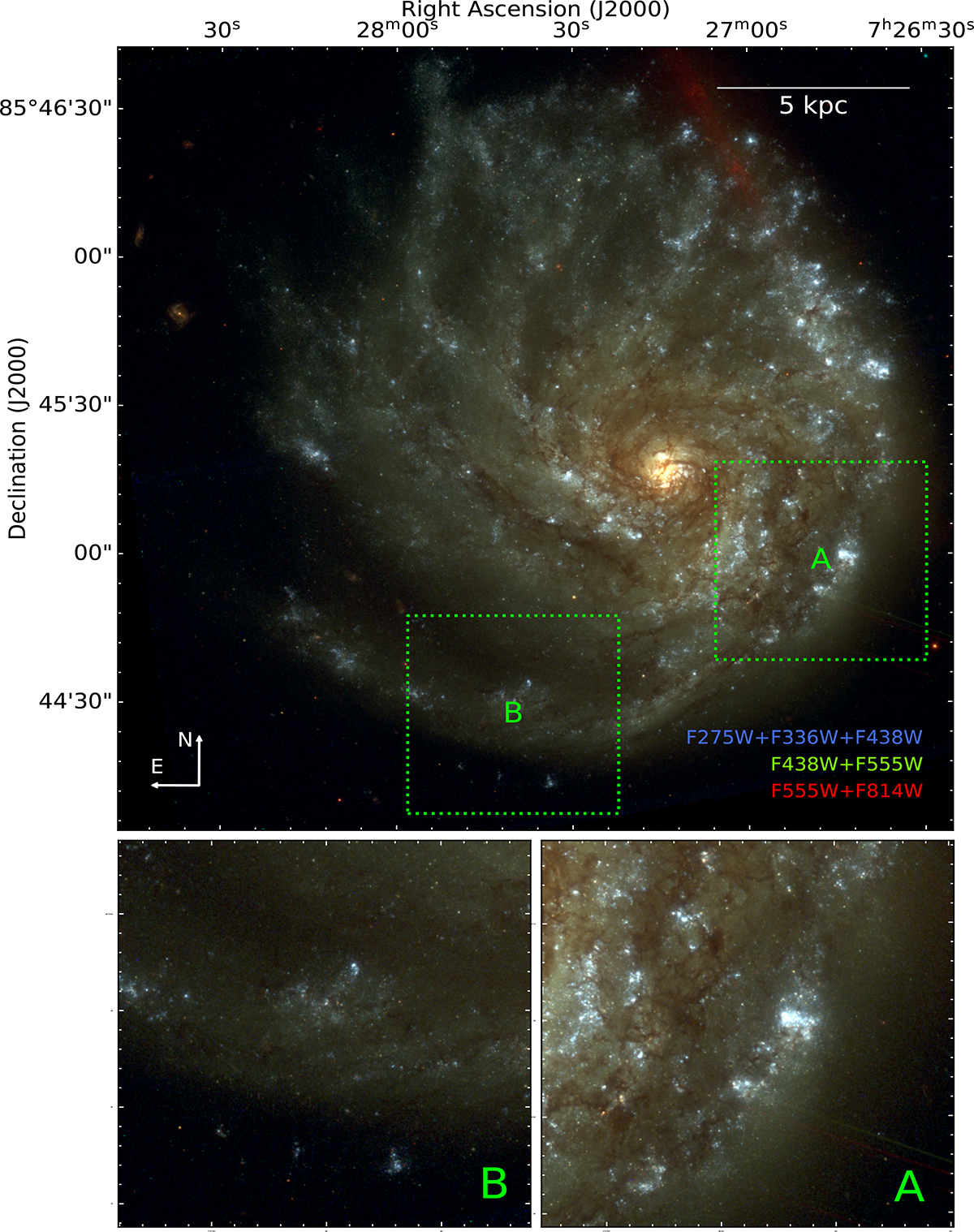 Fig. 2. Refer to the following caption and surrounding text.