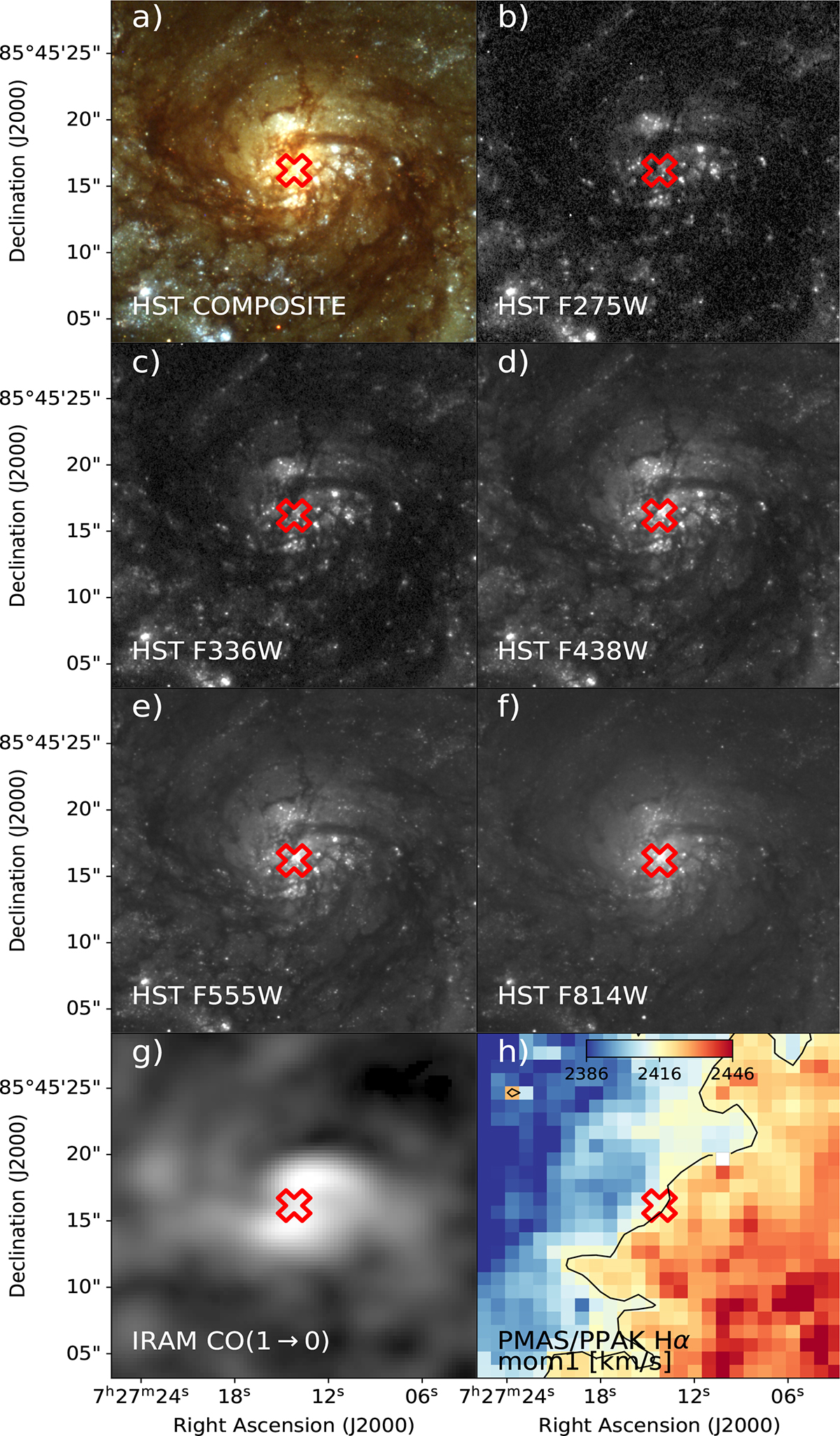 Fig. 4. Refer to the following caption and surrounding text.