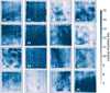 Thumbnail: Fig. 6 Refer to the following caption and surrounding text.