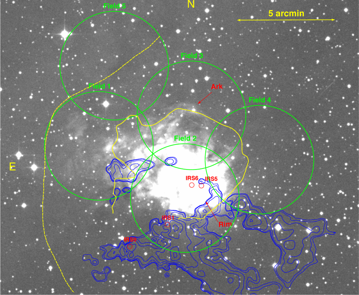 Fig. 1 Refer to the following caption and surrounding text.