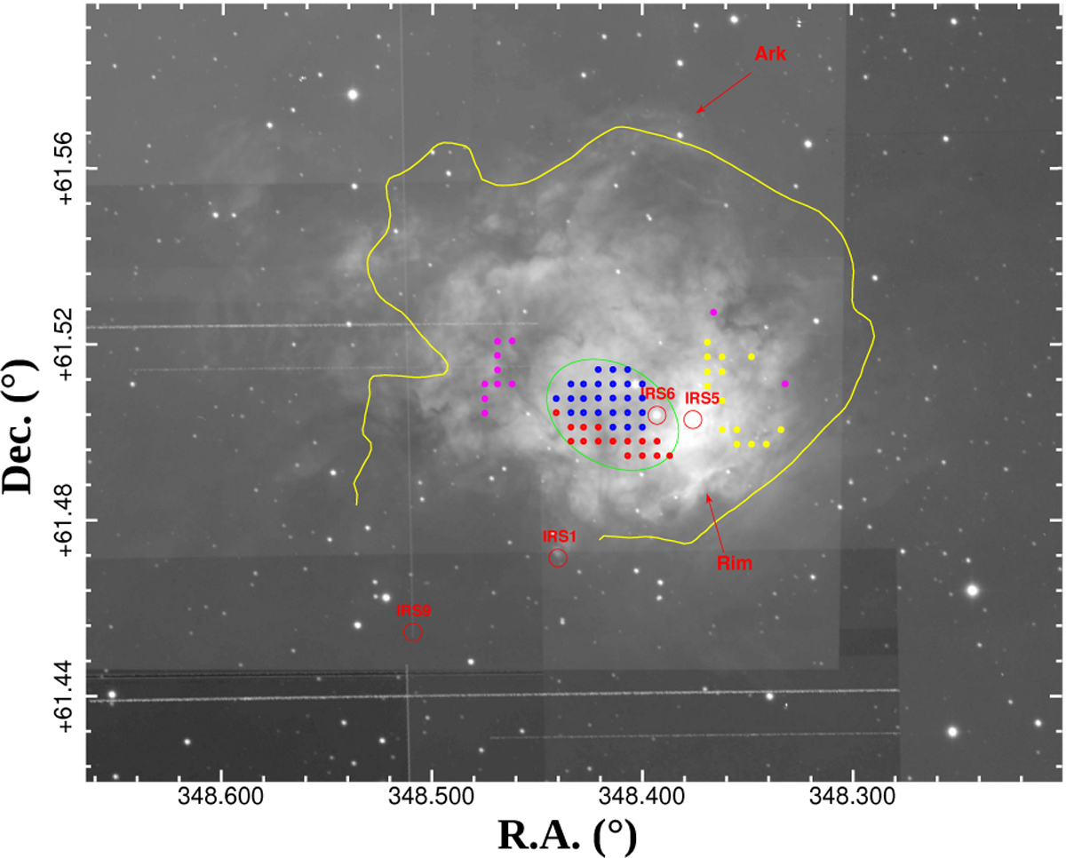 Fig. 6 Refer to the following caption and surrounding text.
