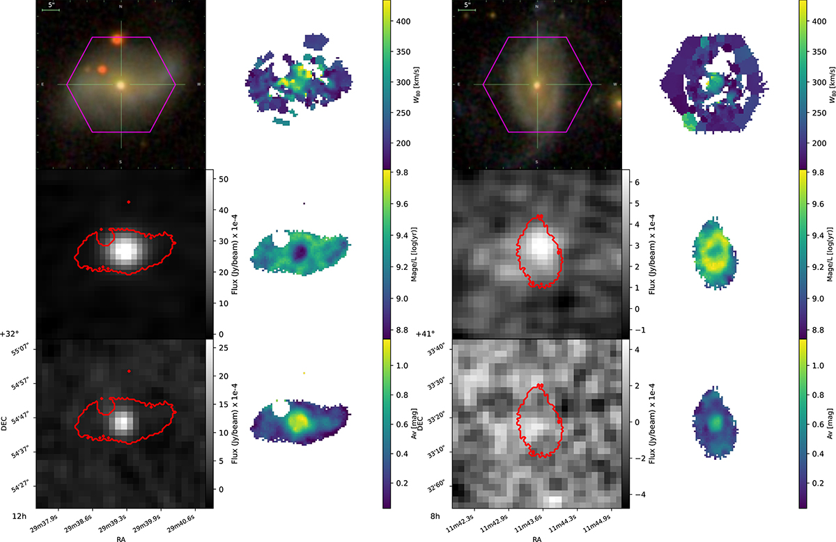 Fig. 6. Refer to the following caption and surrounding text.