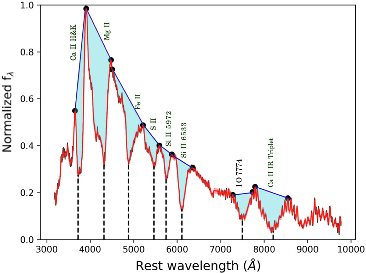 Fig. 2. Refer to the following caption and surrounding text.