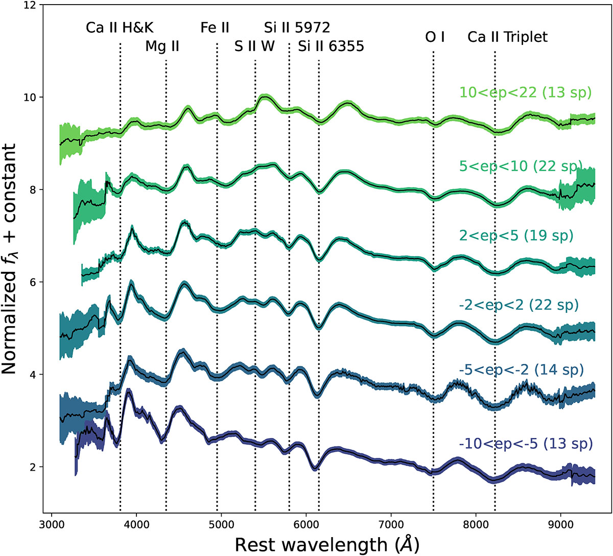 Fig. 4. Refer to the following caption and surrounding text.