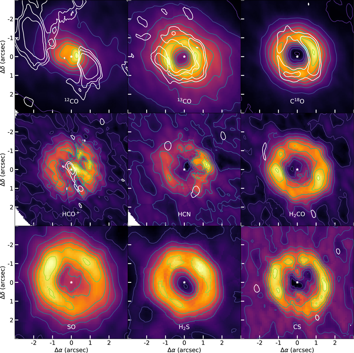 Fig. 8 Refer to the following caption and surrounding text.