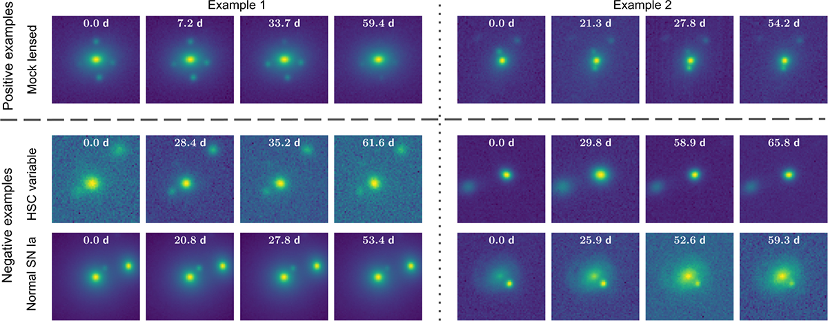 Fig. 3. Refer to the following caption and surrounding text.