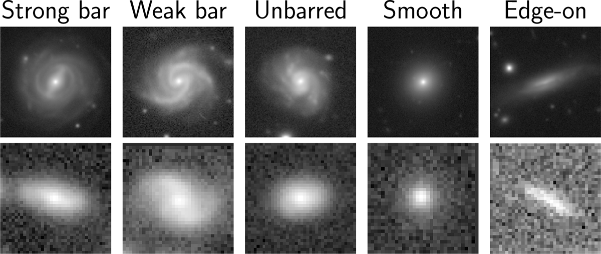 Fig. 3. Refer to the following caption and surrounding text.